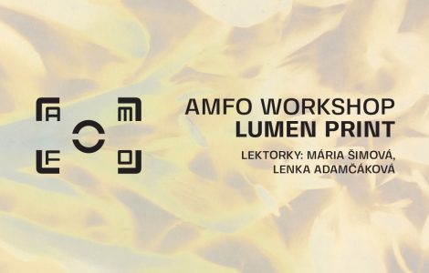 AMFO Workshop 20230715 Lumen print