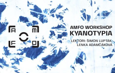 AMFO Workshop 20230812 Kyanotypia